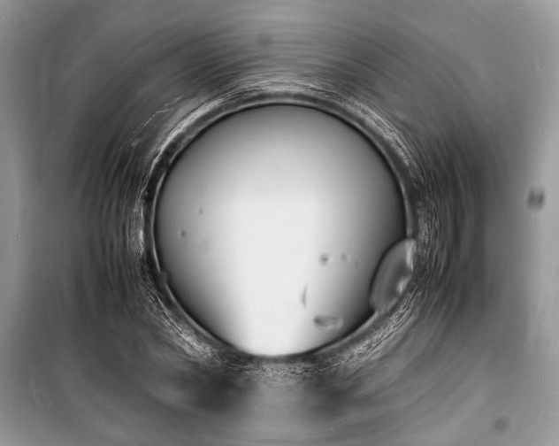 X0000100980782200806241542