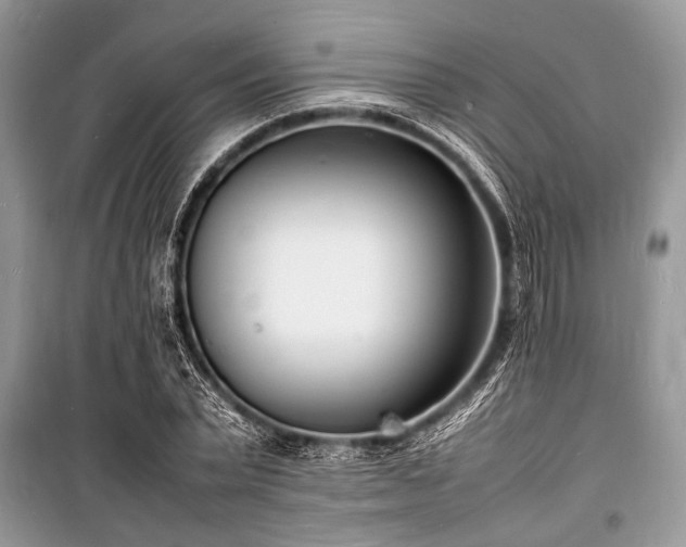 X0000100980783200806241542