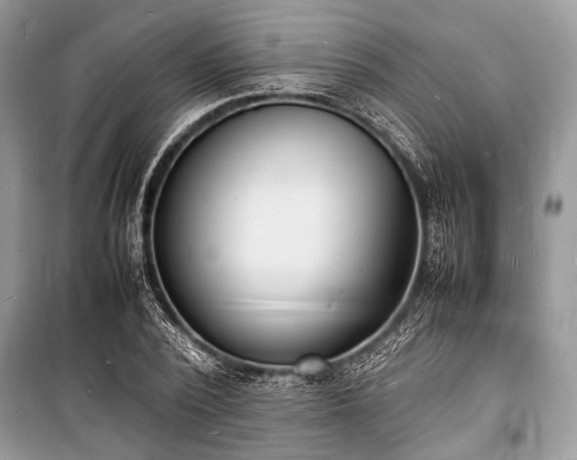 X0000100980784200806241542