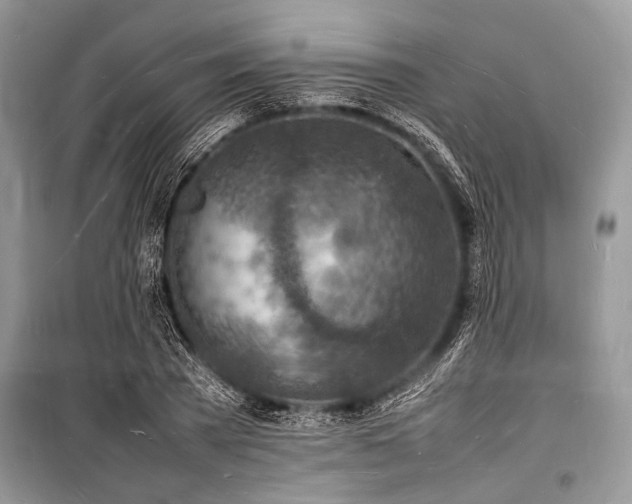 X0000100980785200806241542