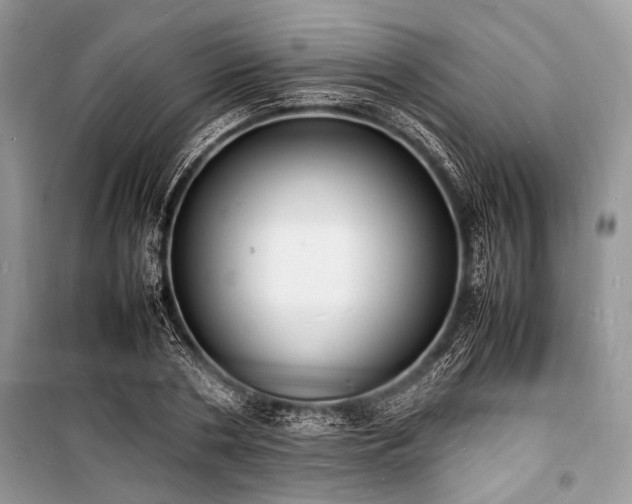 X0000100980786200806241542