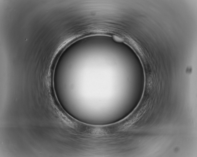 X0000100980787200806241542