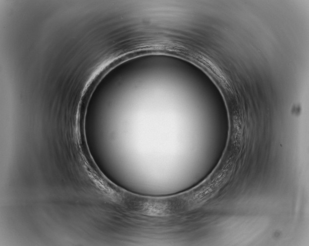 X0000100980788200806241542