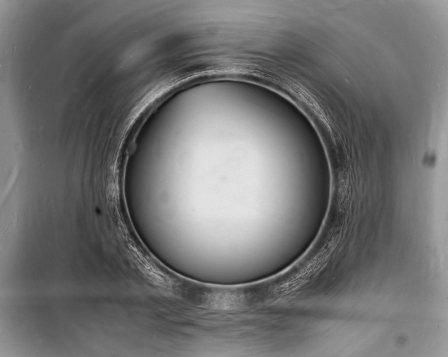 X0000100980789200806241542