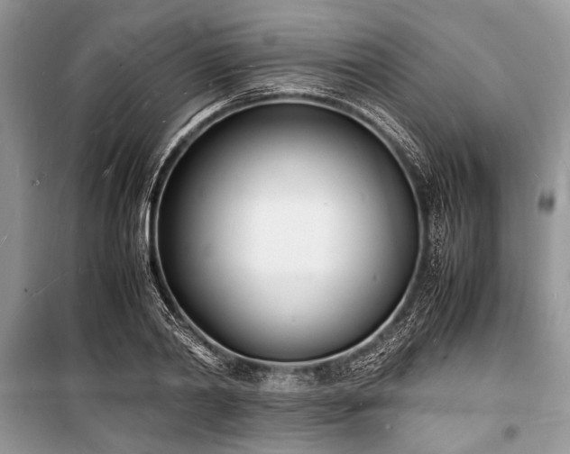 X0000100980790200806241542