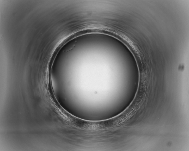 X0000100980791200806241542