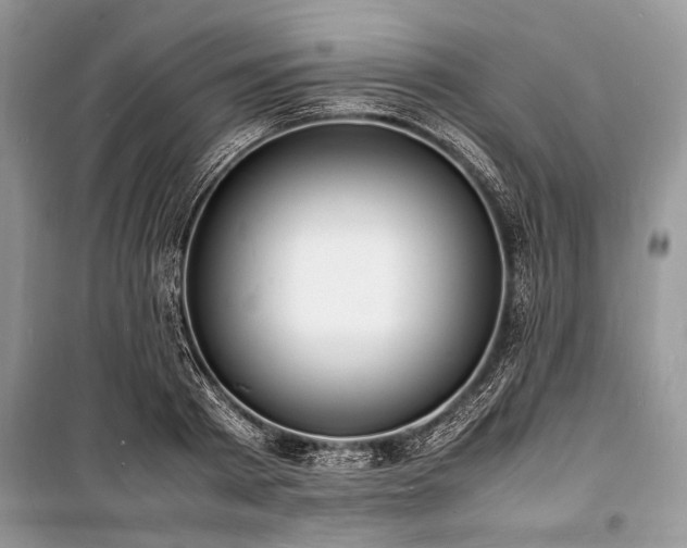 X0000100980793200806241542