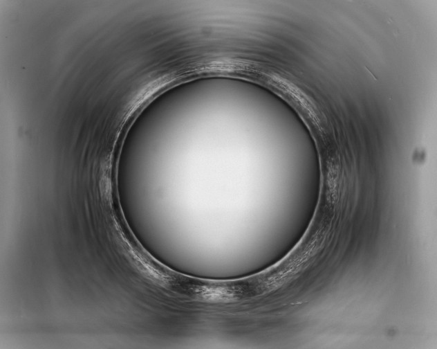 X0000100980794200806241542