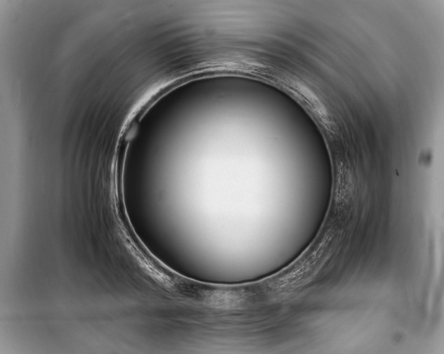 X0000100980796200806241541