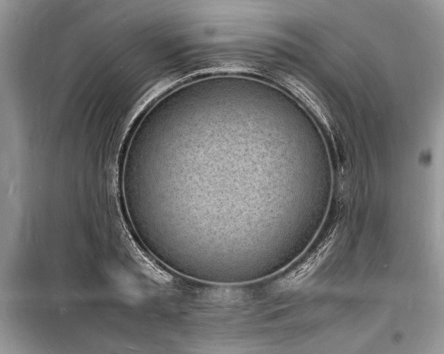 X0000100980797200806241541