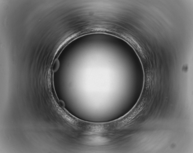 X0000100980798200806241541