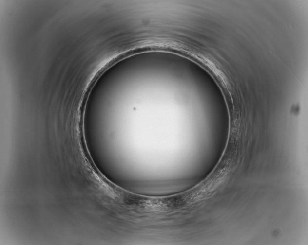 X0000100980799200806241541