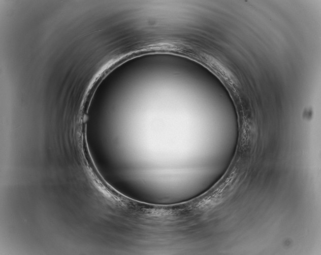 X0000100980800200806241541