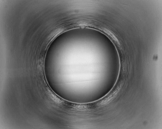 X0000100980801200806241541