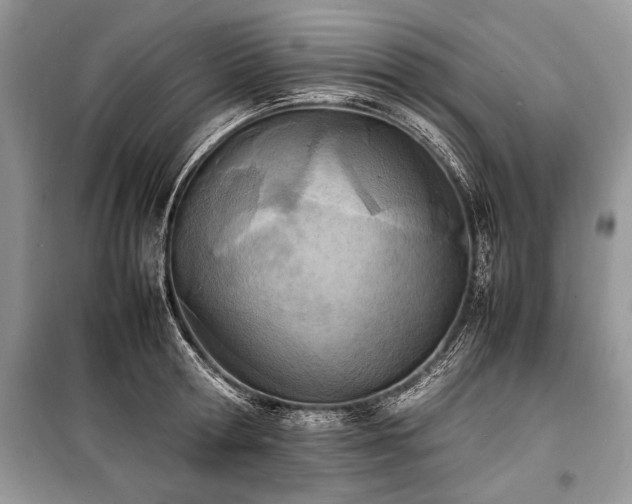 X0000100980802200806241541