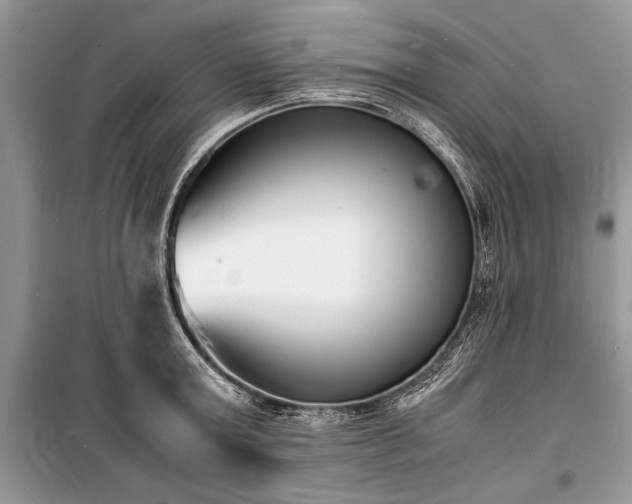 X0000100980803200806241541