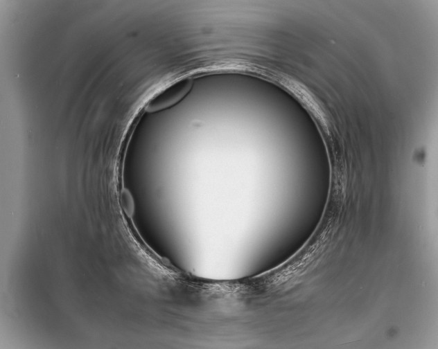 X0000100980805200806241541