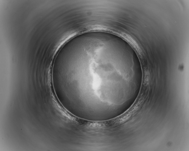 X0000100980806200806241541
