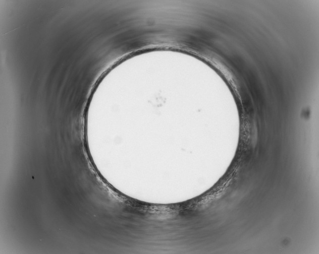 X0000100980807200806241541