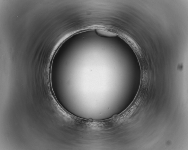 X0000100980808200806241541