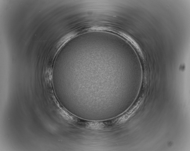 X0000100980809200806241541