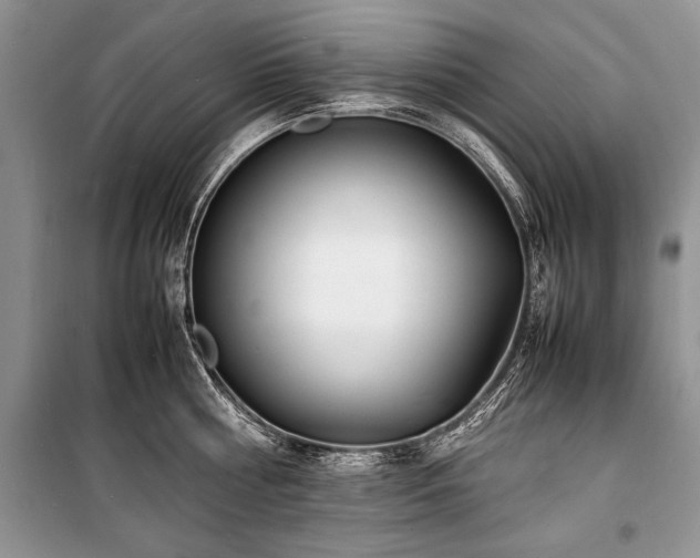 X0000100980810200806241541