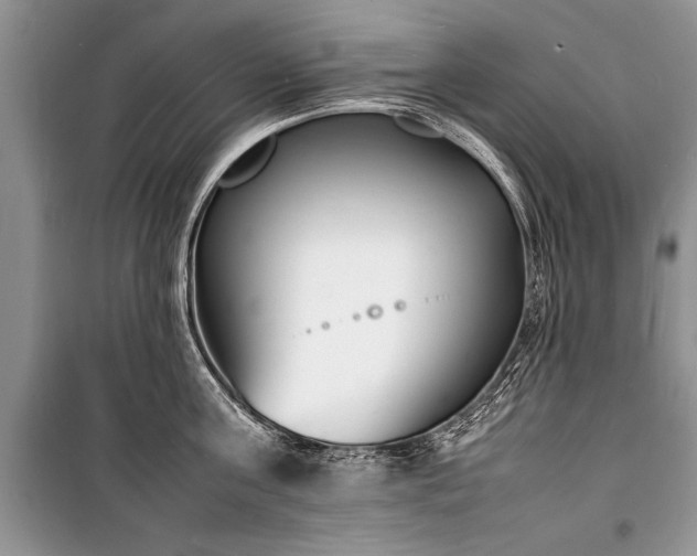 X0000100980811200806241541