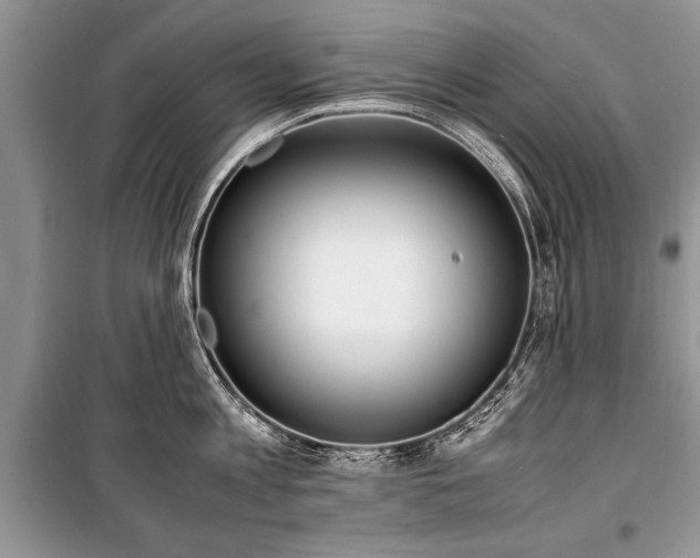 X0000100980813200806241541