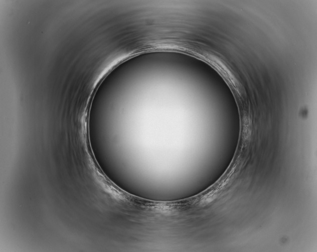 X0000100980814200806241541
