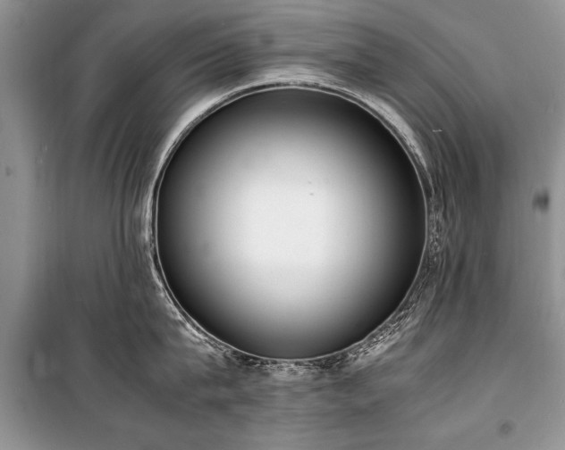 X0000100980815200806241541