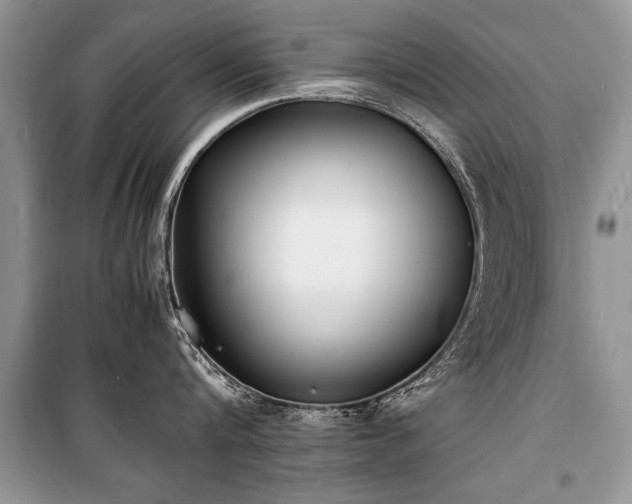 X0000100980816200806241541
