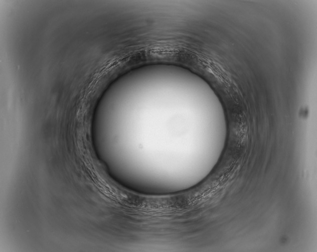 X0000100980817200806241540