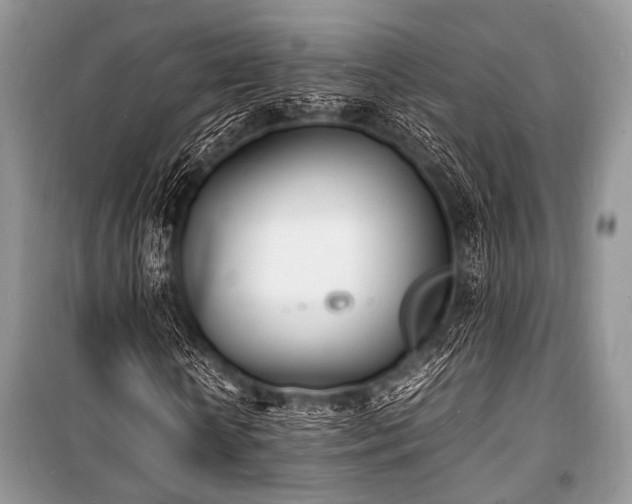 X0000100980818200806241540