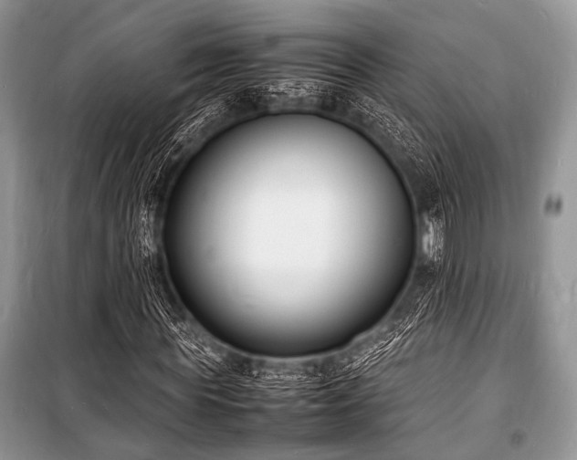 X0000100980819200806241540