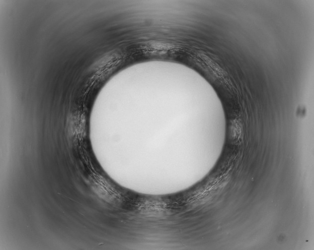 X0000100980820200806241540