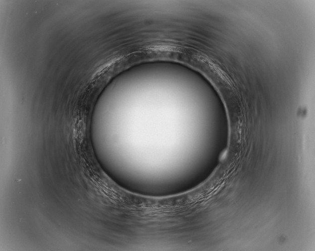 X0000100980821200806241540