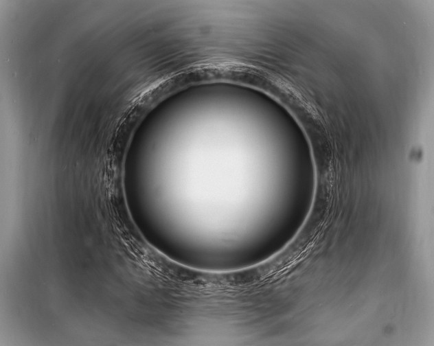 X0000100980822200806241540