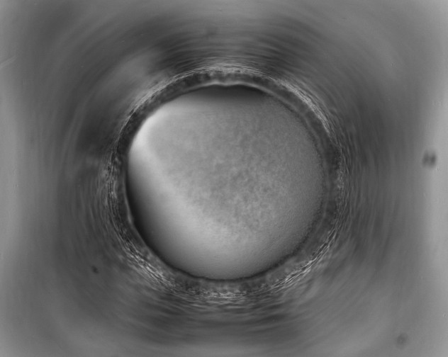 X0000100980823200806241540