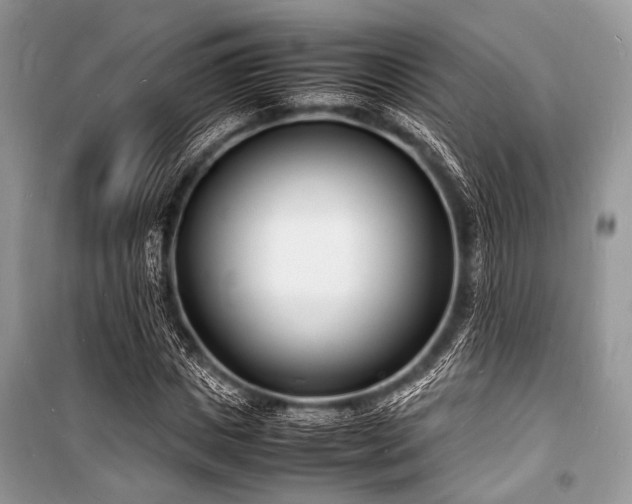 X0000100980825200806241540