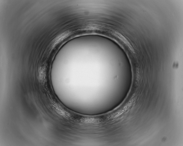 X0000100980826200806241540