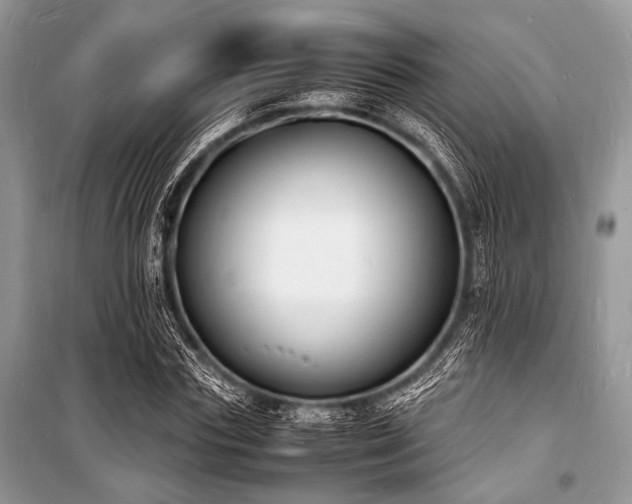 X0000100980827200806241540