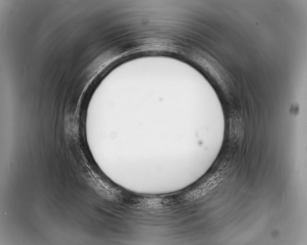 X0000100980828200806241540