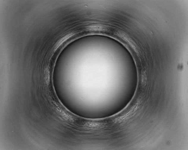 X0000100980829200806241540
