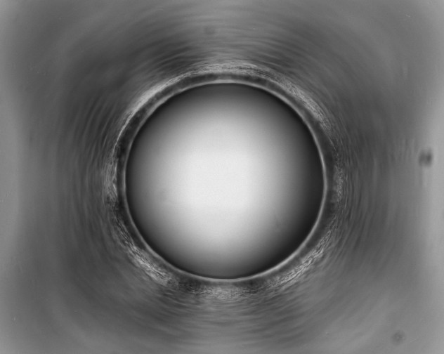 X0000100980830200806241541
