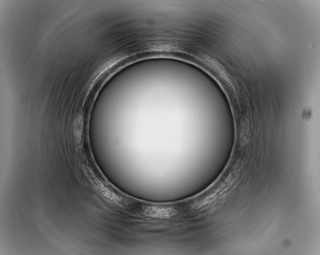 X0000100980831200806241541