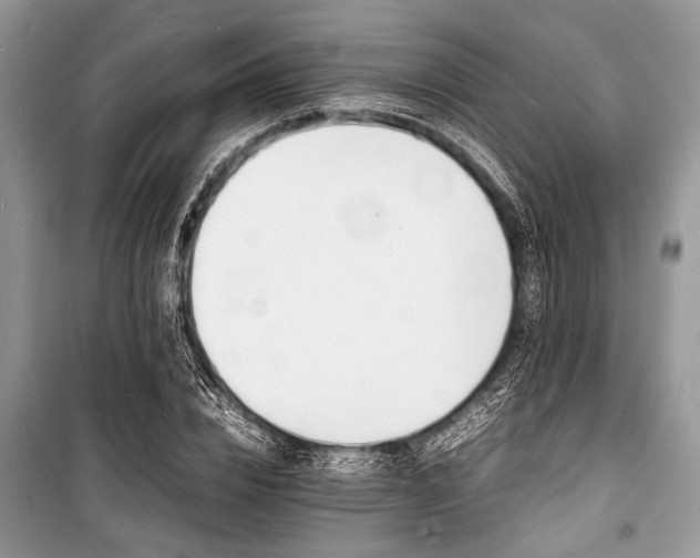 X0000100980832200806241541