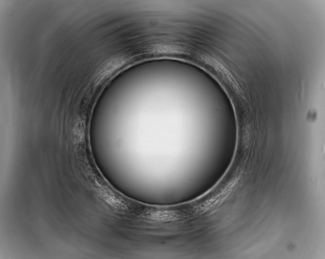 X0000100980833200806241541