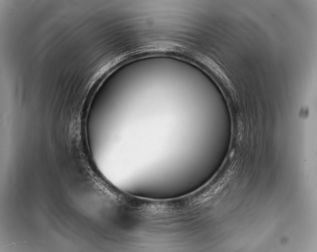 X0000100980834200806241541