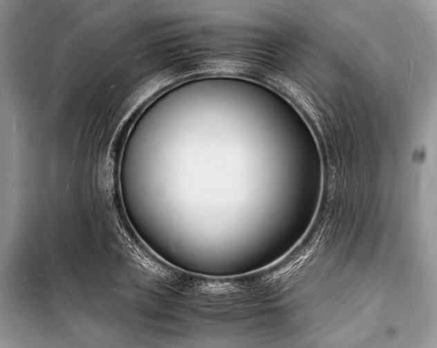 X0000100980835200806241541