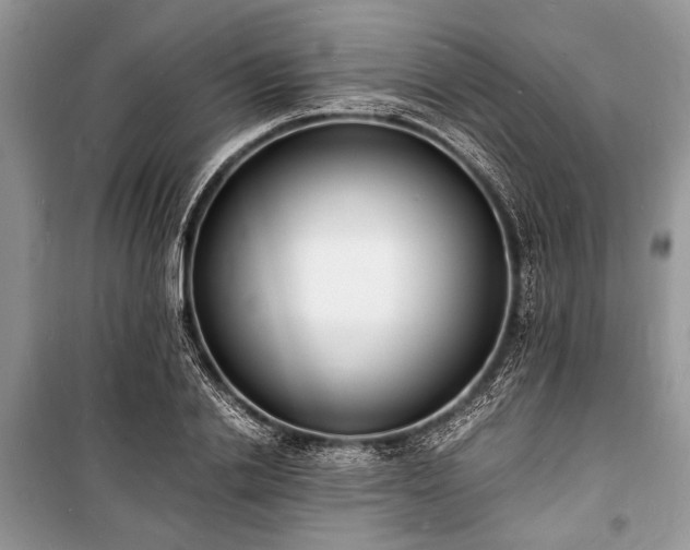 X0000100980838200806241541